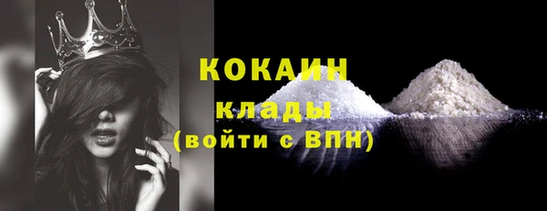 гидра Аркадак