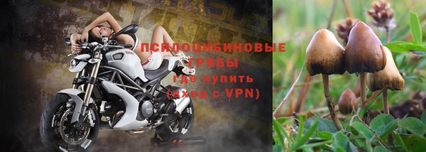 а пвп мука Арсеньев