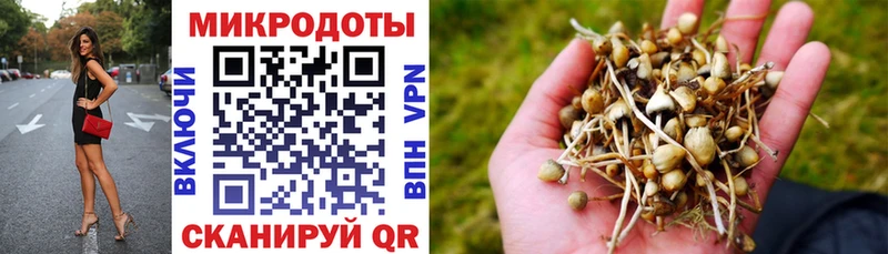 Псилоцибиновые грибы мицелий  дарнет шоп  Кириши 