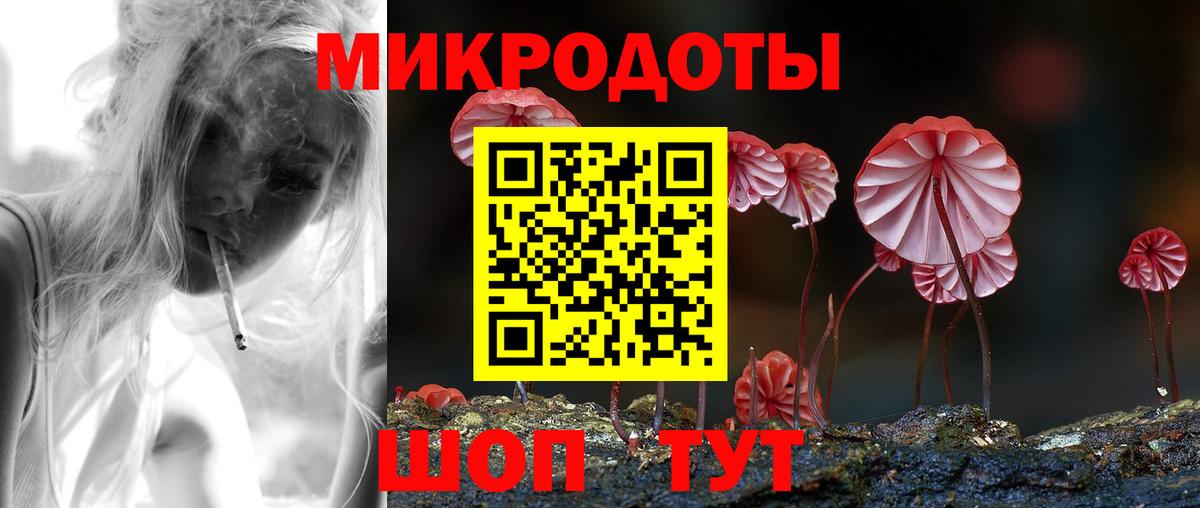 Псилоцибиновые грибы Cubensis  Вход с VPN  Кириши 