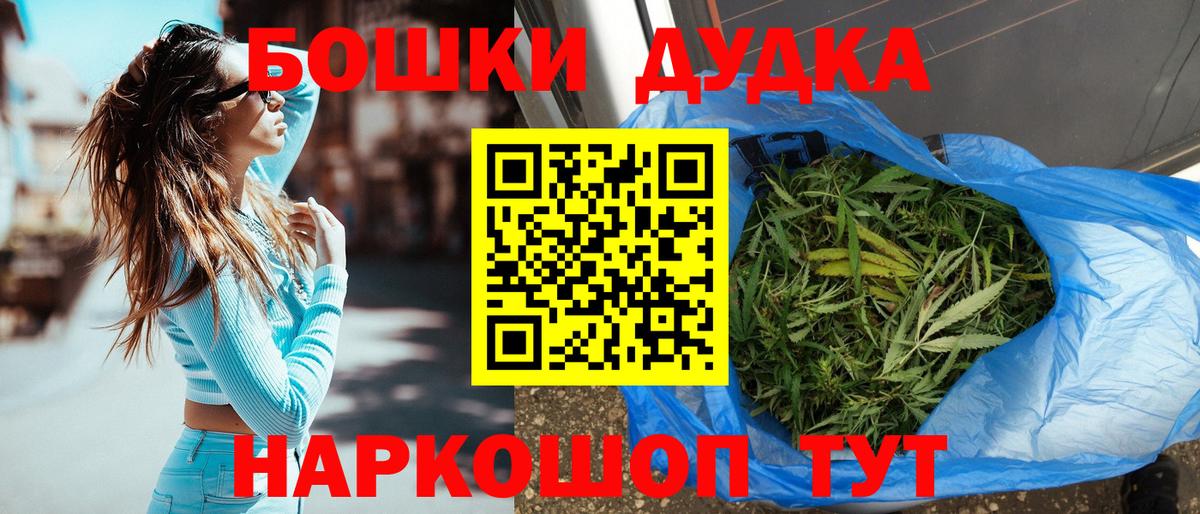 Бошки Шишки планчик Кириши